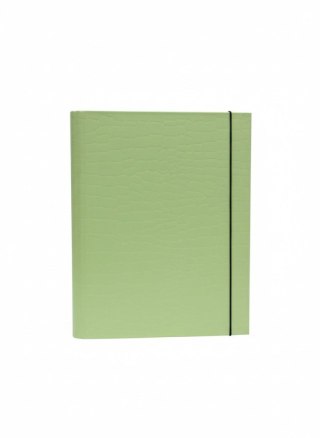 VauPe Teczka kartonowa na gumkę PasteLove z gumką B4 limonka VauPe (P/310/31)