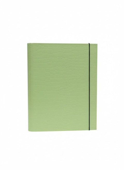 VauPe Teczka kartonowa na gumkę PasteLove z gumką B4 limonka VauPe (P/310/31)