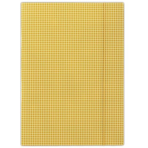 Donau Teczka kartonowa na gumkę w kratkę A4 pomarańczowy 400g Donau (FEP12)