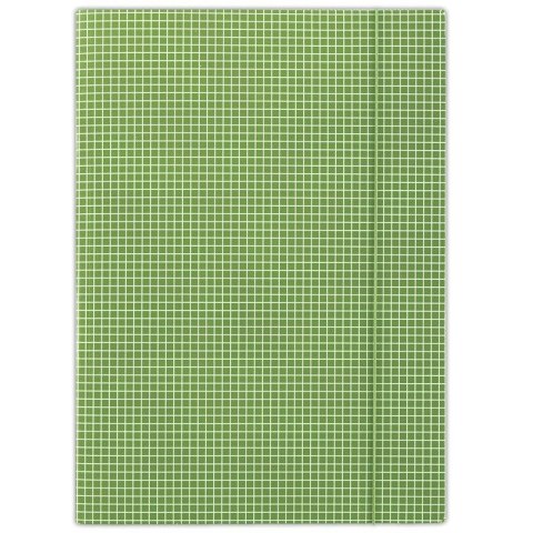 Donau Teczka kartonowa na gumkę w kratkę A4 zielony 400g Donau (FEP06)