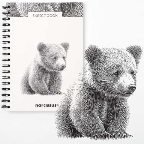 Narcissus Blok artystyczny szkicownik niedziedź B5 120g 60k Narcissus