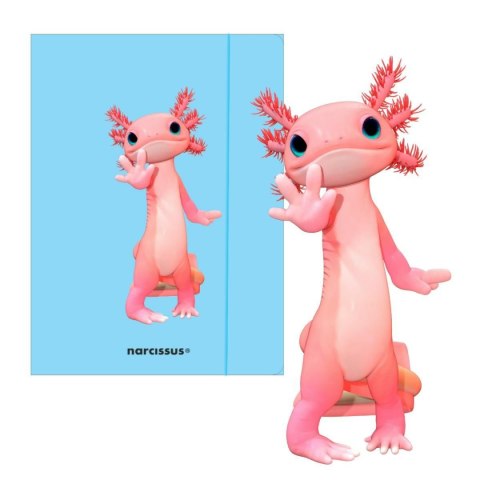 Narcissus Teczka kartonowa na gumkę Teddies& Aksolotl A4 niebieski 270g Narcissus