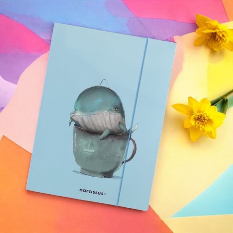 Narcissus Teczka kartonowa na gumkę wieloryb A4 różne 270g Narcissus