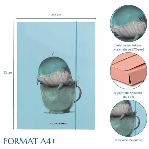 Narcissus Teczka kartonowa na gumkę wieloryb A4 różne 270g Narcissus