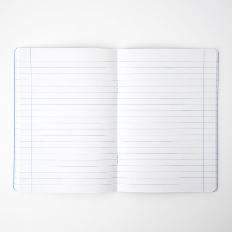 Narcissus Zeszyt Narcissus