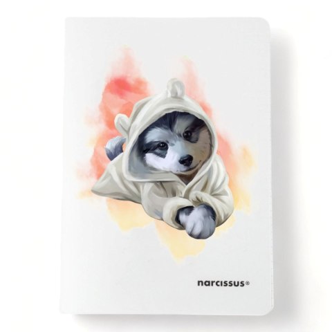 Narcissus Zeszyt PP A4 32k. 80g linia Narcissus