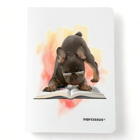 Narcissus Zeszyt PP A4 32k. 80g linia Narcissus