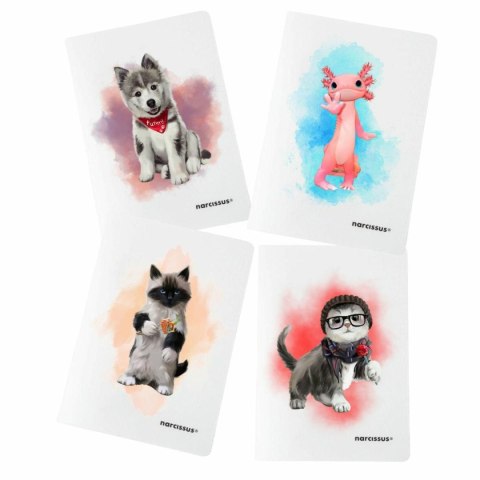 Narcissus Zeszyt PP A4 60k. 80g KRATKA Narcissus