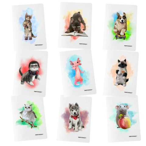 Narcissus Zeszyt PP A5 32k. 80g KRATKA Narcissus