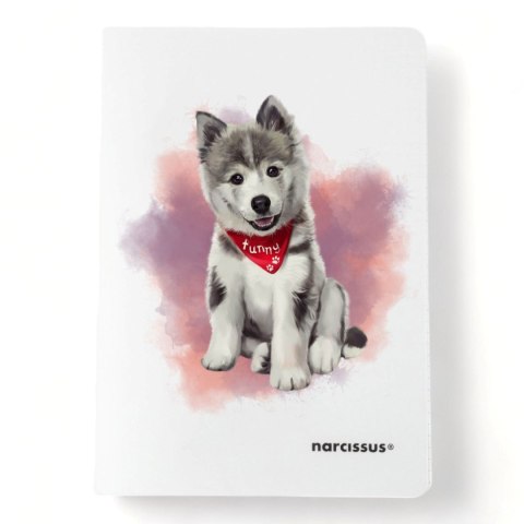 Narcissus Zeszyt PP A5 60k. 80g krata Narcissus