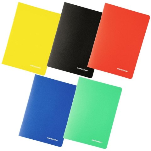 Narcissus Zeszyt PP A6 40k. 60g krata Narcissus