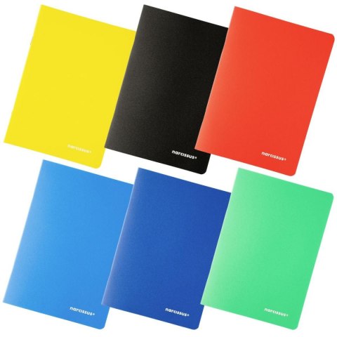 Narcissus Zeszyt PP Narcissus