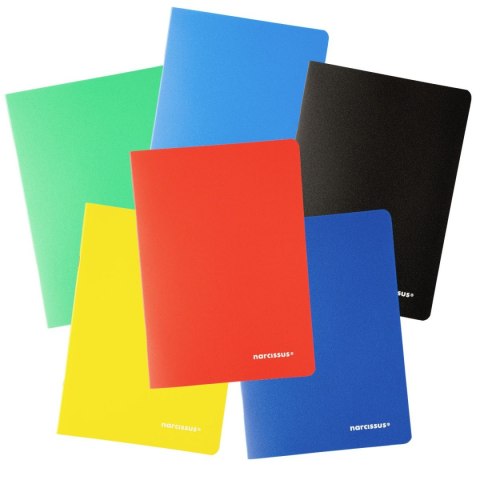 Narcissus Zeszyt PP Narcissus