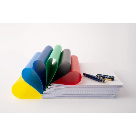 Narcissus Zeszyt PP Narcissus