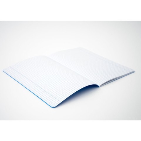 Narcissus Zeszyt PP Narcissus