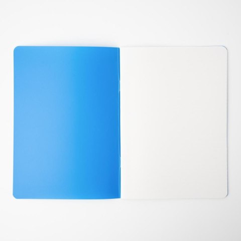 Narcissus Zeszyt PP Narcissus