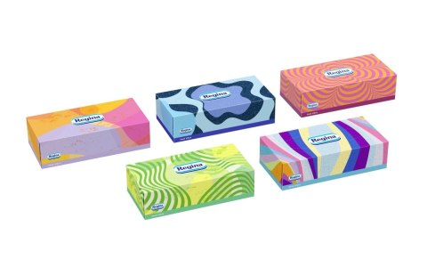 Regina Chusteczki higieniczne 3w uniwersalne good vibes 100 szt Regina