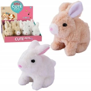 Bemag Pluszak interaktywny króliczek na baterie Bemag (65586)