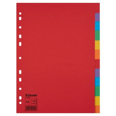 Esselte Przekładka czysta A4 mix kolorów 160g 12k Esselte (100202)