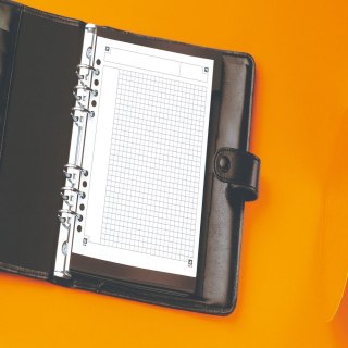 Oxford Notes (notatnik) International A5+ 80k. krata [mm:] 169x210 Oxford (100101849)