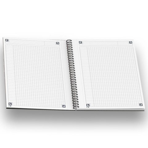 Oxford Notes (notatnik) International A5+ 80k. krata [mm:] 169x210 Oxford (100101849)