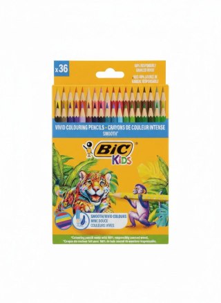 Bic Kids Kredki ołówkowe BIC KIDS 36k 36 kol. Bic Kids (ECO)