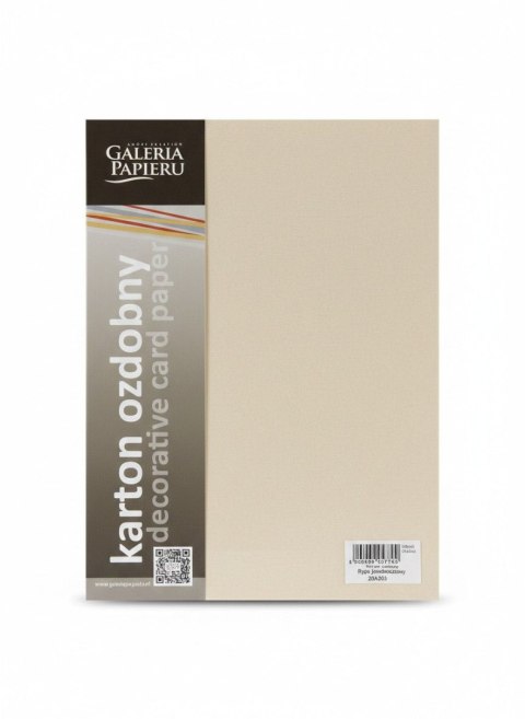 Galeria Papieru Papier ozdobny (wizytówkowy) A4 Ryps beżowy 250g Galeria Papieru (204701)