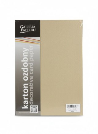 Galeria Papieru Papier ozdobny (wizytówkowy) A4 Ryps beżowy 250g Galeria Papieru (204702)