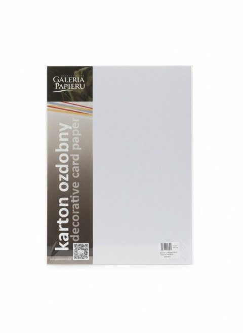 Galeria Papieru Papier ozdobny (wizytówkowy) pearl diamentowa A4 biały 210g Galeria Papieru (205451)