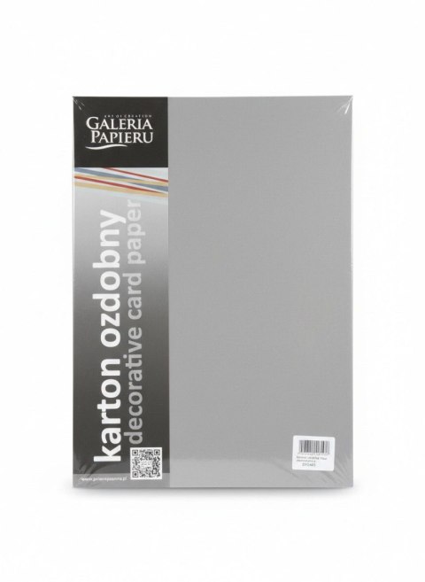 Galeria Papieru Papier ozdobny (wizytówkowy) pearl jasnosrebrny A4 srebrny 210g Galeria Papieru (205453)