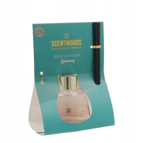 Pavoncella Odświeżacz powietrza ScentMoods Dyfuzor patyczkowy Blooming 100ml Pavoncella (8716516204154)