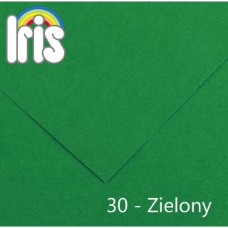 Canson Brystol Iris 30 A4 zielony 120g 100k Canson (200040029)