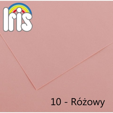 Canson Brystol Iris 10 A4 różowy 120g 100k Canson (200040009)