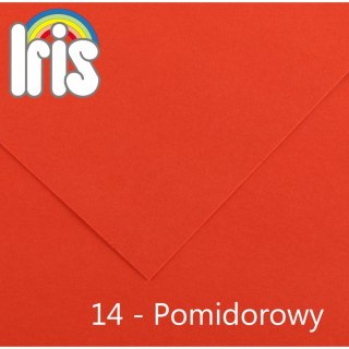 Canson Brystol Iris 14 A4 pomidorowy 120g 100k Canson (200040013)