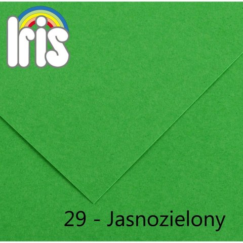 Canson Brystol Iris 29 A4 zielony jasny 120g 100k Canson (200040028)