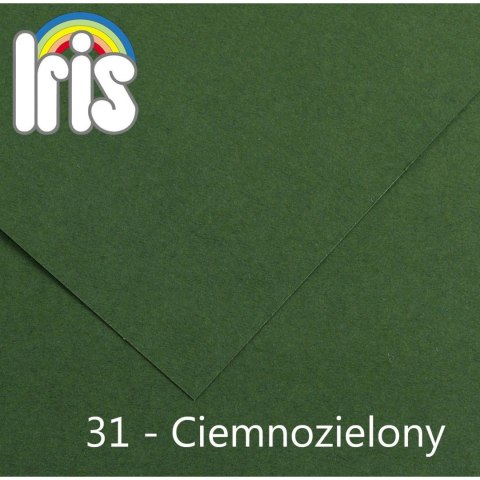 Canson Brystol Iris 31 A4 zielony ciemny 120g 100k Canson (200040030)