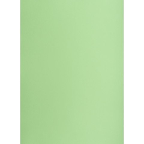Creatinio Brystol groszkowy B2 zielony 225g 25k Creatinio (400150336)