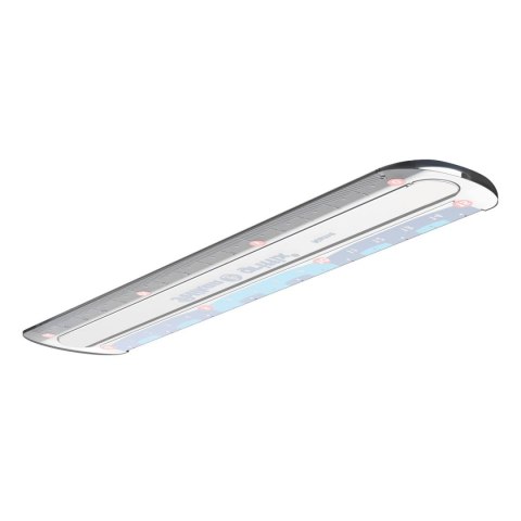 Pelikan Linijka plastik Griffix 822275 15cm Pelikan (300000445)