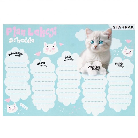 Starpak Plan lekcji Kotki Starpak (553562)