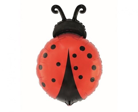 Godan Balon foliowy Biedronka, 36x52 cm Godan (FG-KBIE)