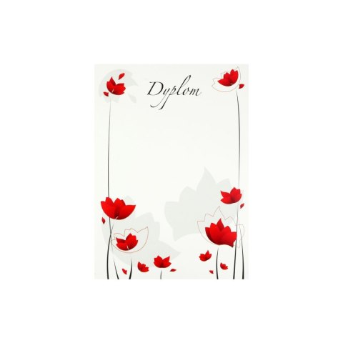 Rexus Dyplom A4 maki 200g Rexus (604105)