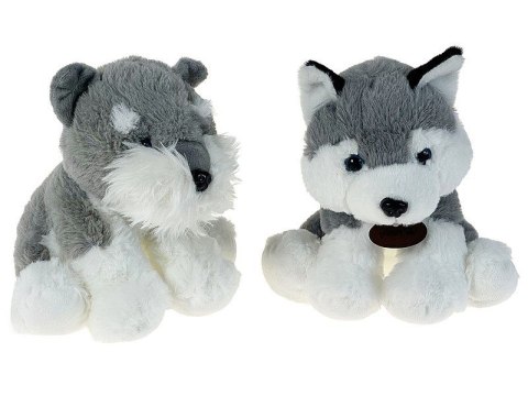 Adar Pluszak pies Husky [mm:] 210 Adar (596795)