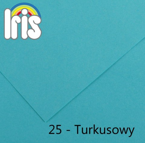Canson Brystol Iris 25 A3 turkusowy 185g 50k [mm:] 297x420 Canson (200040204)