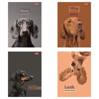 Unipap Zeszyt A5 Doggy Moods 60k. 70g krata Unipap