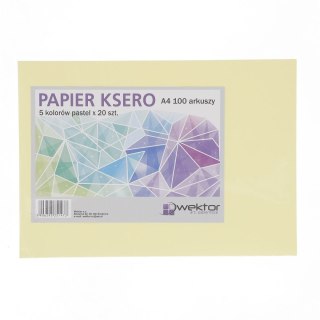Wektor Papier kolorowy A4 pastel mix 80g Wektor