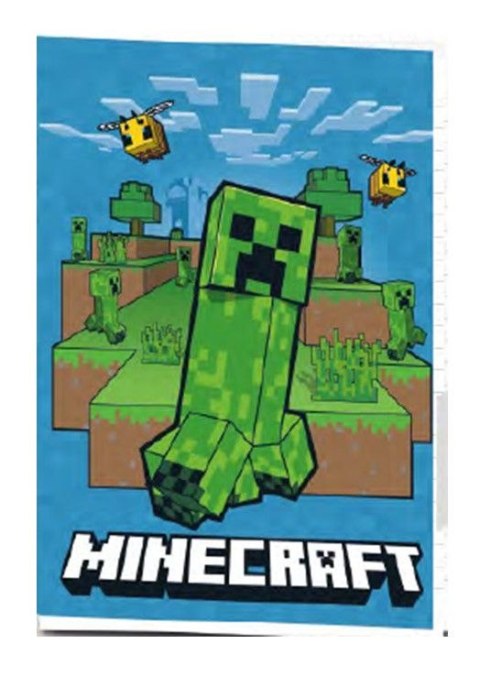Astrapap Zeszyt A5 Minecraft 16k. krata Astrapap (102025055)
