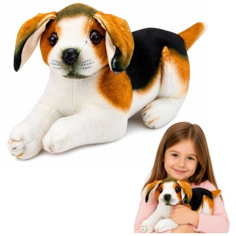 Best Way Pluszak Piesek Beagle [mm:] 250 Best Way (28884)