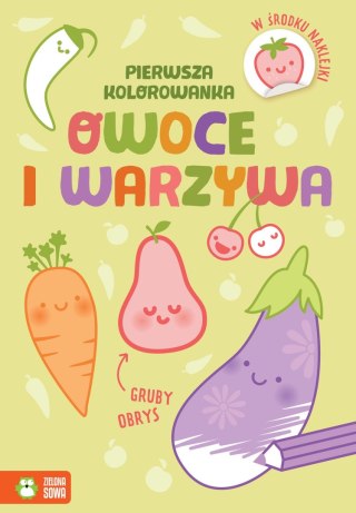 Zielona Sowa Książeczka edukacyjna Pierwsza kolorowanka.Gruby obrys. Owoce i warzywa Zielona Sowa