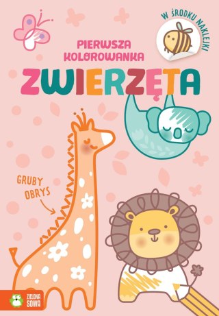 Zielona Sowa Książeczka edukacyjna Pierwsza kolorowanka.Gruby obrys. Zwierzęta Zielona Sowa