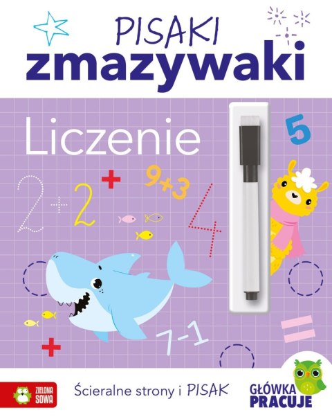 Zielona Sowa Książka dla dzieci Pisaki zmazywaki. Szlaczki Zielona Sowa